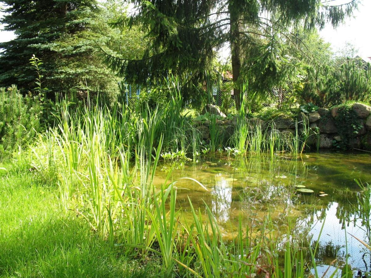 Osrodek Szeligi Ełk Exterior foto